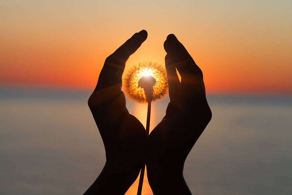 Reinkarnation: Foto: © Alina Kruk / shutterstock / #1717856833